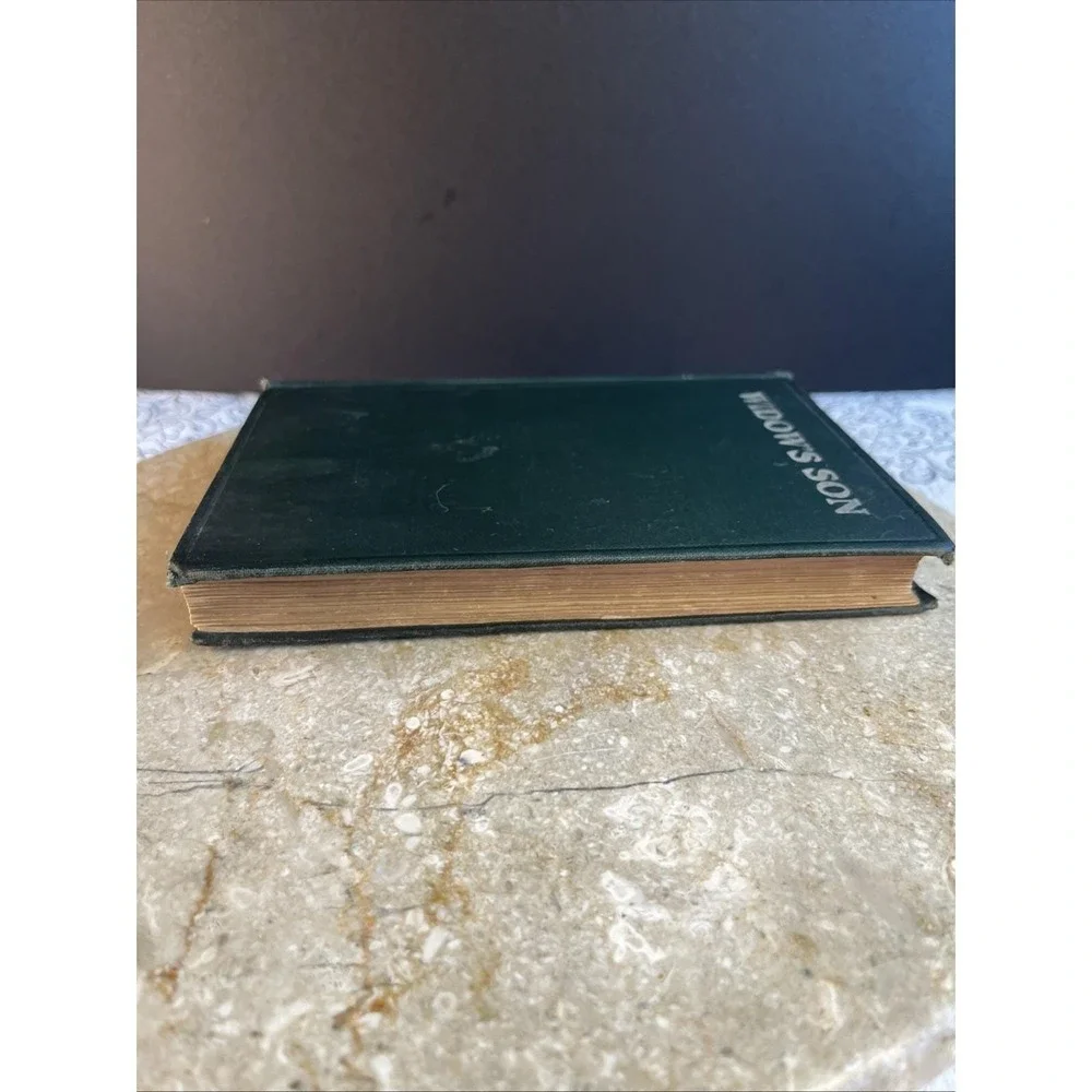 Early 1900's Copy Widow's Son by Mrs. E D E N Southworth Good Condition